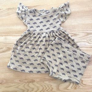 KQ flutter sleeve turtle dress with bloomers